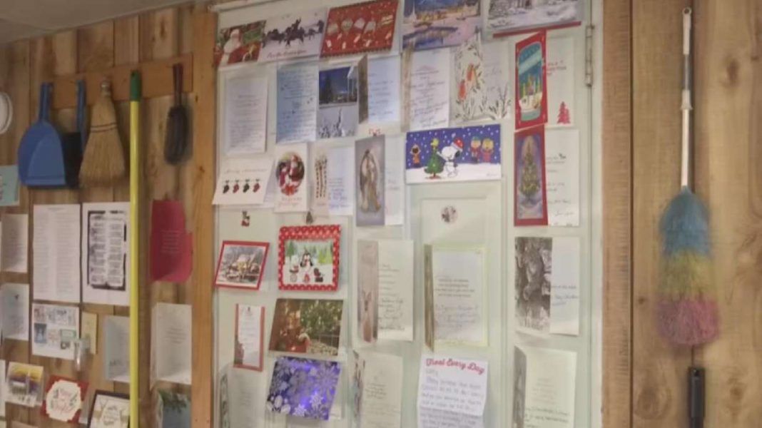 93-year-old war veteran inundated with over 400 Christmas cards following viral Facebook post