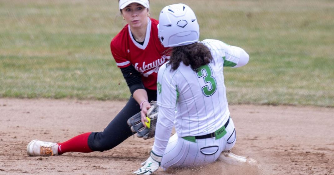 Howlan’s Game-Winning Single Leads Schalmont to Section 2 Softball Victory Over Niskayuna